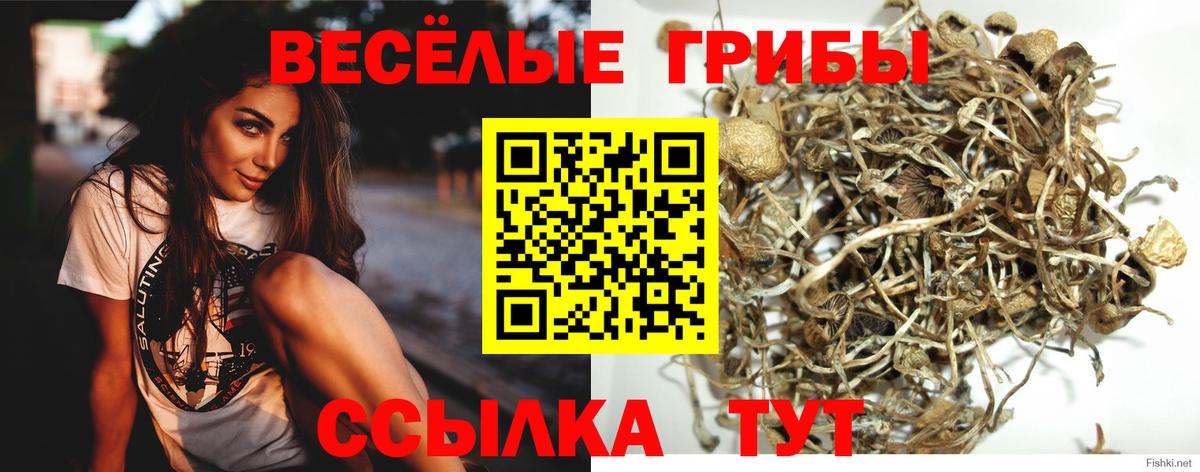 Псилоцибиновые грибы MAGIC MUSHROOMS  Галлюциногенные грибы мицелий  Вход с VPN  Тавда 