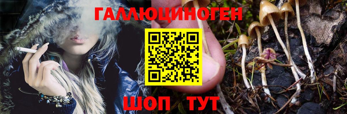 Галлюциногенные грибы мицелий Тавда